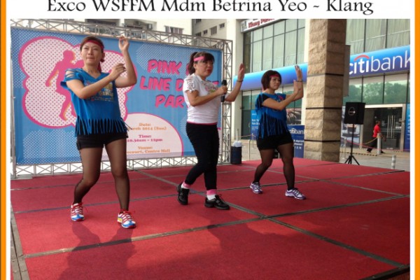 WSFFM - 2014 -12
