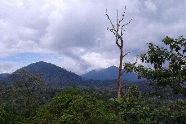 IMG-20150401-WA0029