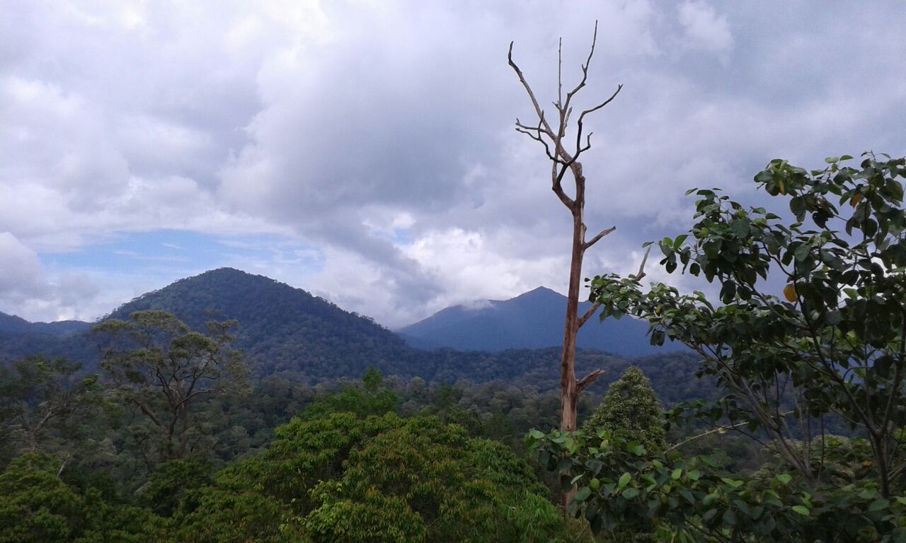 IMG-20150401-WA0029