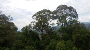 IMG-20150401-WA0060