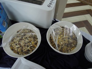 DSCN7399