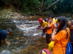 IMG-20150805-WA0047